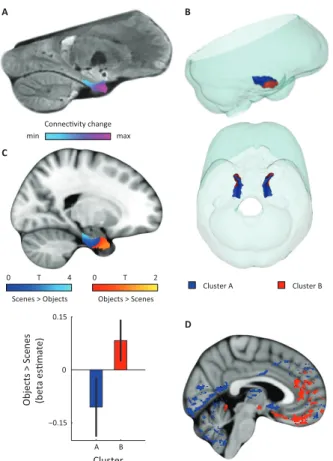 FIGURE 2 | Dominant mode of functional connectivity change within entorhinal cortex and  sensitivity to spatial and non-spatial information