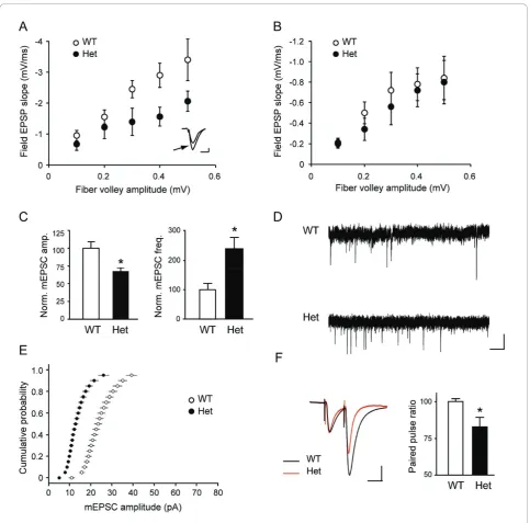Figure 2 Altered basal synaptic properties inheterozygous mice. Slices were incubated in the presence of 6-cyano-7-nitroquinoxaline-2,3-dione (CNQX), and mean field EPSP slope as afunction of fiber volley is shown.Amplitude of mEPSCs