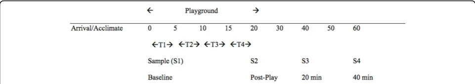 Figure 1 Time line for cortisol sampling before and following peer interaction. Figure T1 = Gross Motor Play, T2 = Solicited Motor Play, T3= Cooperative Play, T4 = Solicited Cooperative Play