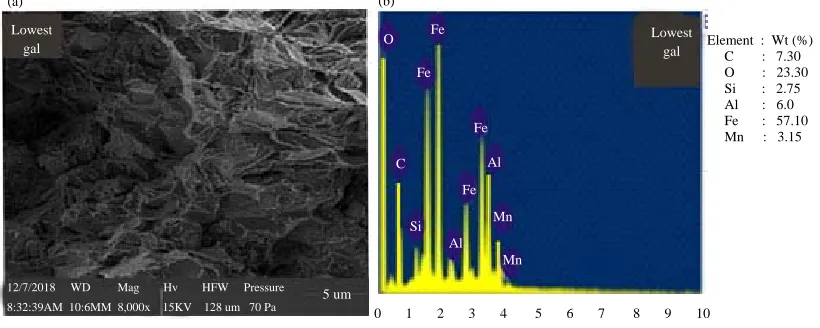 Fig. 8(a-b): (a) SEM and (b) EDX of optimum predicted level 