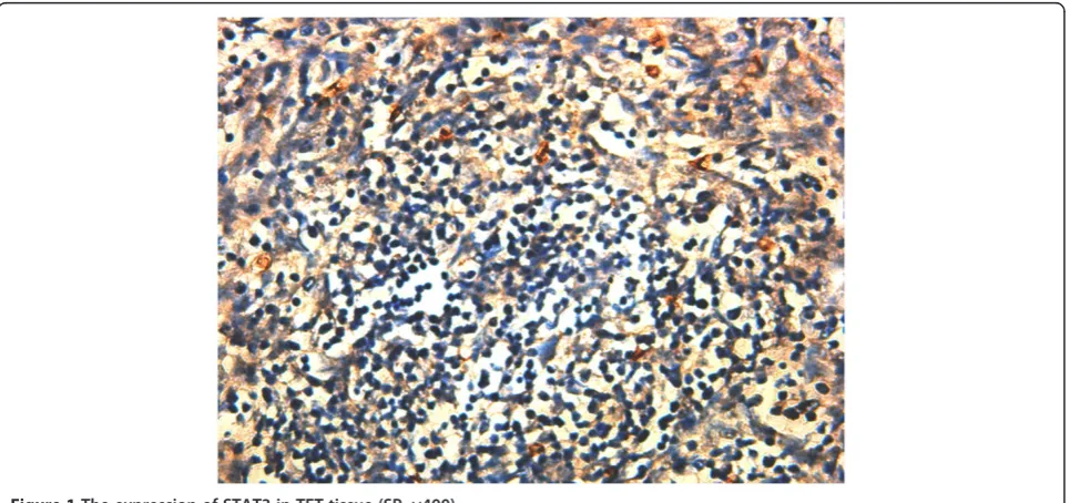 Figure 1 The expression of STAT3 in TET tissue (SP, ×400).
