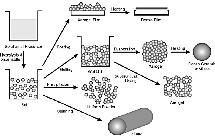 Figure 2.1: Sol-gel processing method. (Niederberger and Nicola 2009) 