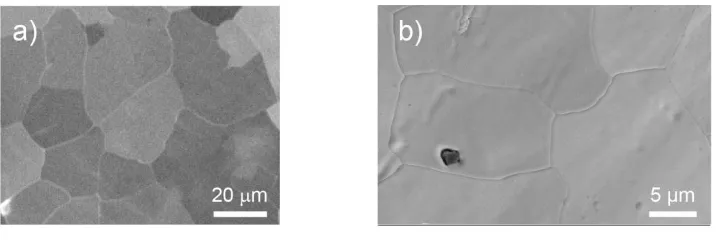 Figure 2.4 a) A SEM image of a Pt polycrystalline foil containing grains of different size 