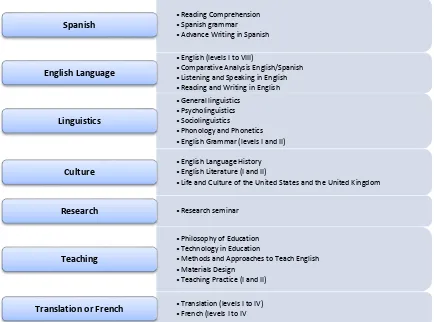 Figure 3: Subjects of the ‘Professional focus’ Block. 