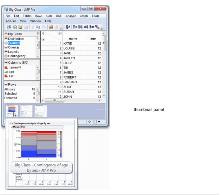 Figure 4 Thumbnail Panel Options