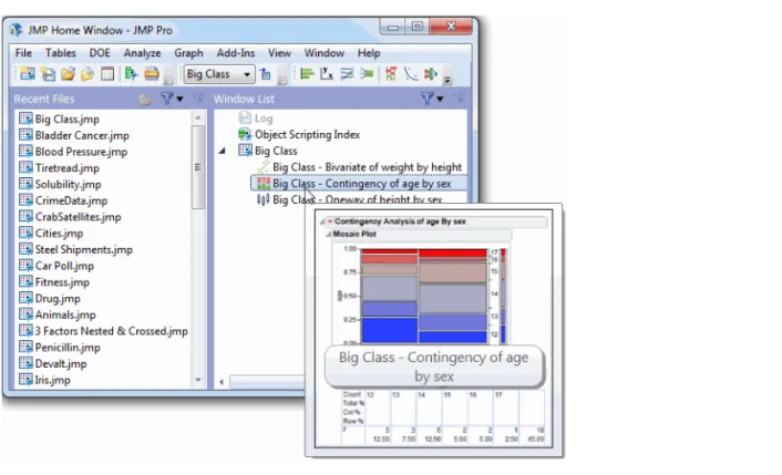 Figure 1 Report Preview from the Home Window