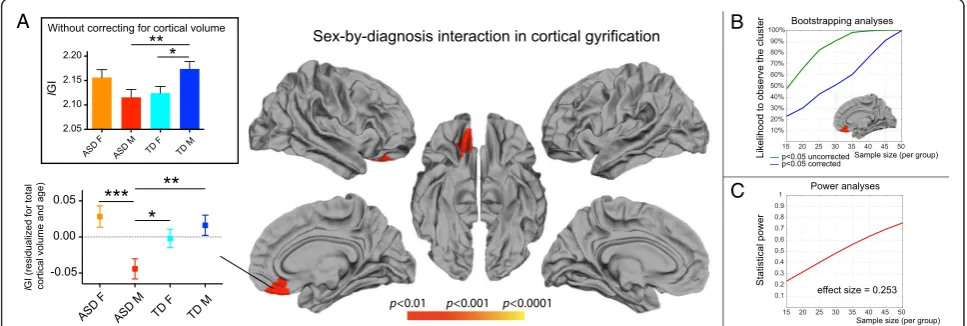 Fig. 1 Main effect of sex: local cortical volume.was below 40 % for the right hemisphere and below 60 % for the left hemisphere.analyses