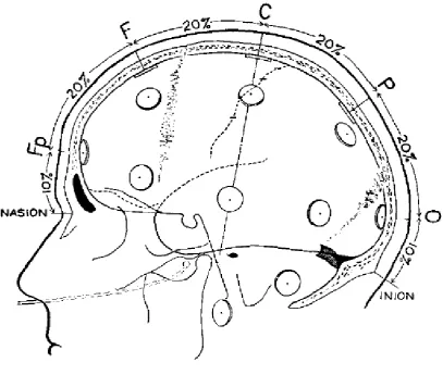 Fig. 2.5: A side-view of a person’s head with the 10-20 coordinates overlaid, demonstrating how electrode sites are spaced 