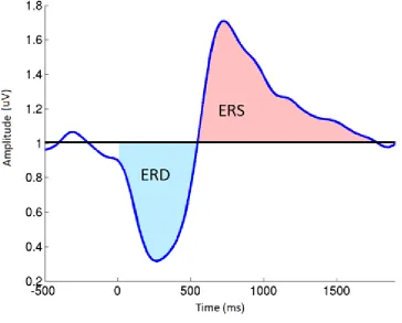 Fig. 2.7: A plot showing the distinctive waveform caused by ERD/ERS just after the user consciously initiates MI at time 0 