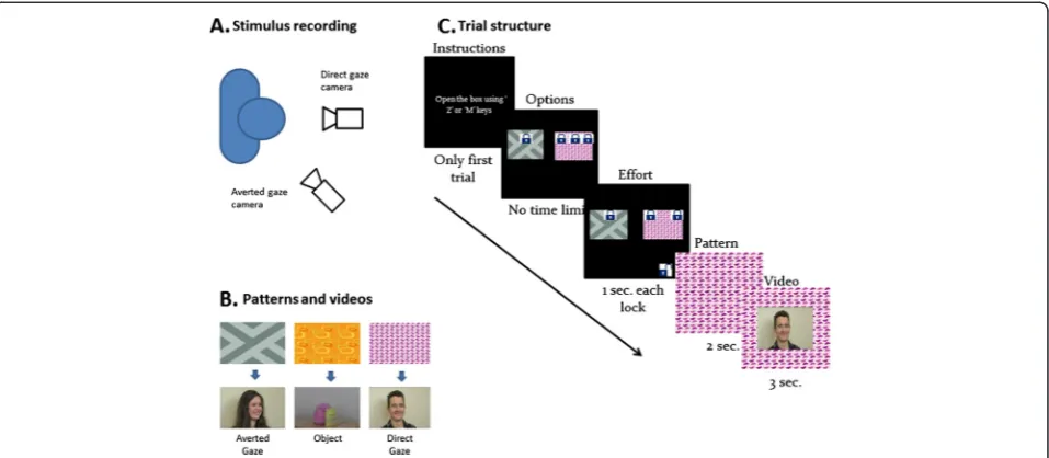 Fig. 1 a Configuration for recording social videos. Two cameras simultaneously captured the actor’s direct gaze and averted gaze