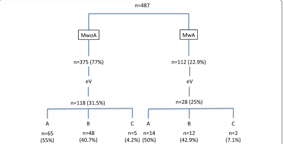 Fig. 1 Flowchart of patients enrolled in the study with a breakdown into migraine subtypes and the composition of the 3 classes in each