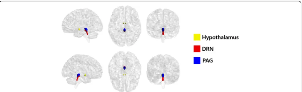 Fig. 1 Region of interest segmentation results. The hypothalamus, dorsal raphe nuclei (DRN), and periaqueductal gray (PAG) were segmented ona three-dimensional brain atlas