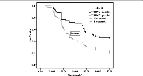 Figure 3 Survival curves for NSCLC patients with negative or positive expression of ERCC1