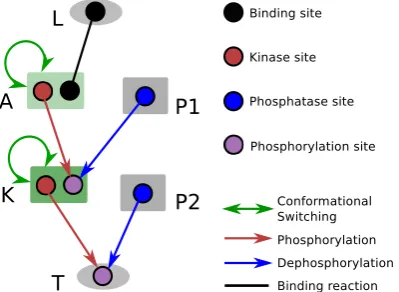 Figure 2.3: Schematic, showing the network structure used as the starting pointfor evolution for ultrasensitivity