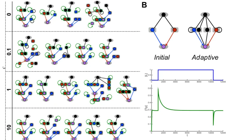 Figure 2.5: Sample evolved network structures and dynamics. (A) Sample networkstructures evolved to achieve ultrasensitivity in simulations with diﬀerent weightingof the complexity score ωc 