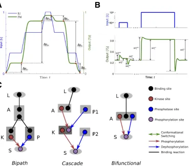 Figure 3.1: Evolutionary simulation setup. (A) Fitness function to score ultrasen-sitive networks