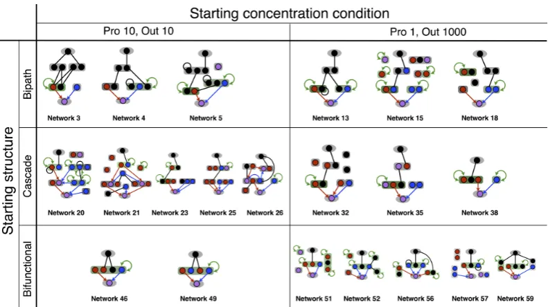 Figure 3.3: Structure of all evolved ultrasensitive networks. The categories are basedon the starting concentration conditions and starting network structures
