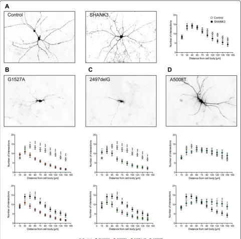 Figure 3 Overexpression of truncated SHANK3 variants results in distinct alterations of dendritic tree complexity