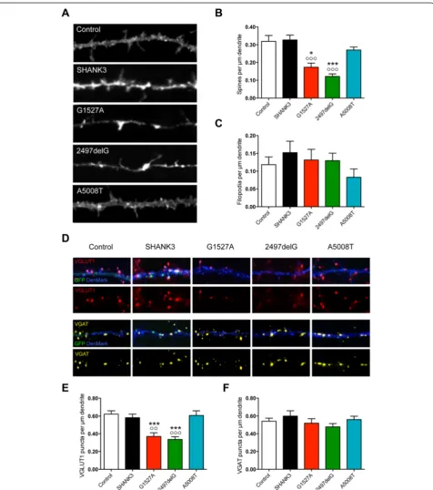 Figure 4 Overexpression of truncated SHANK3 variants results in distinct alterations of dendritic spines and synaptic contacts