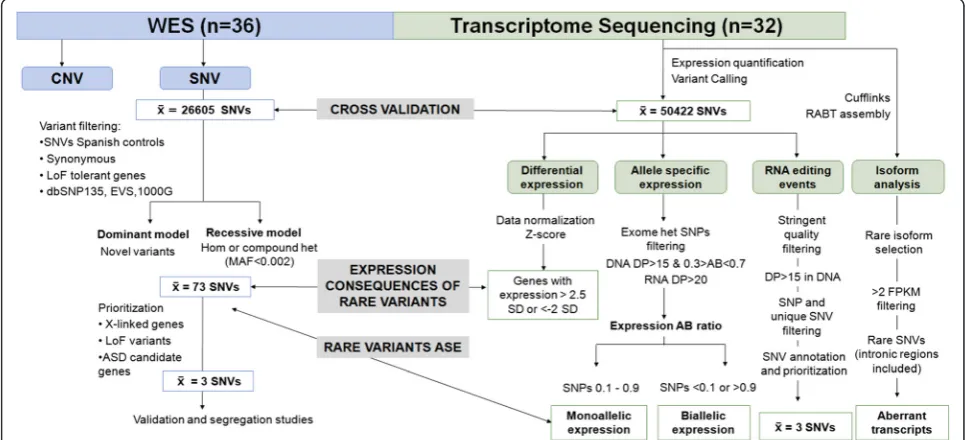 Figure 1 Workflow of the Omics approach used to define the likely pathogenic genetic variants and transcriptomic consequences inthe studied ASD cohort.
