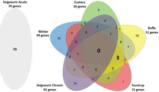 Figure 1. Venn diagram showing the number of overlapping genes in the four clinical hypoxia profiles and the Seigneuric acute and chronic in vitro profiles.