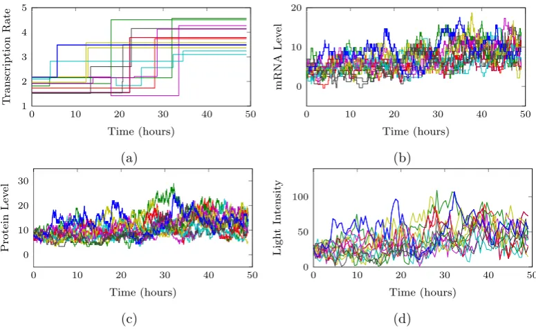 Figure 3.8: 15 simulated time series from a single hierarchical distribution under Scenario3.a) gives the simulated transcriptional proﬁles, b) the corresponding continuous timemRNA process, c) the continuous time protein process and d) the discrete time observedmeasurements.