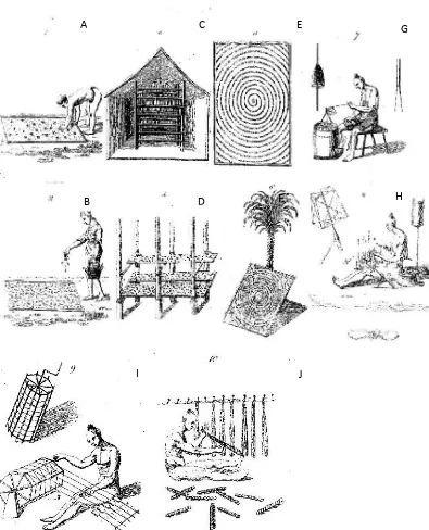 Figure 1.2. Plate Depicting the Practices of Sericulture and Silk Reeling in Bengal 