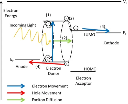 Figure 1.5: Schematic energy level diagram for an OPV device. The flow of electrons 