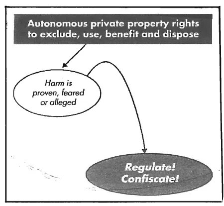 Figure 2: The fear culture 