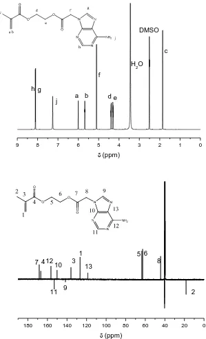 Figure 2.1 1H NMR and 13C DEPT NMR spectra of AMA in DMSO-d6. 
