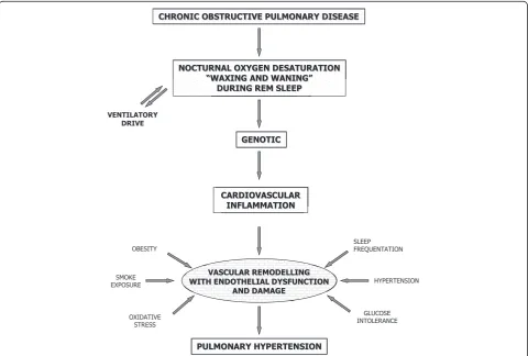 Figure 3 Biological mechanisms for the development of pulmonary hypertension in COPD patients