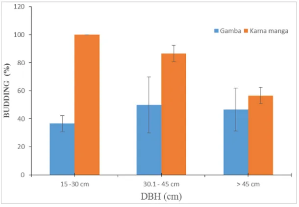 Figure 5. Budding rate of RSC according the diameter at breast height of parent trees