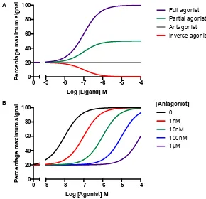 Figure 1.7: The eﬀect of ligands on concentration-response curves.receptor model assumes a dynamic equilibrium between active (R) and inactive receptors(R*)