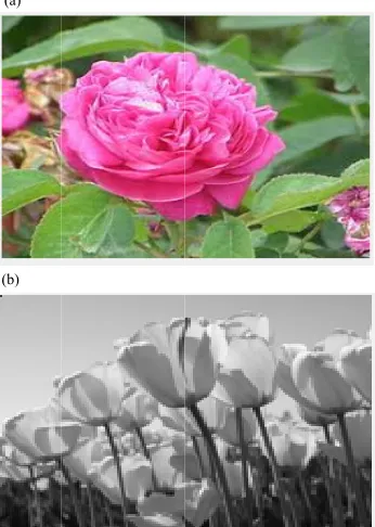 Fig. 10: Sending image through PLC channel