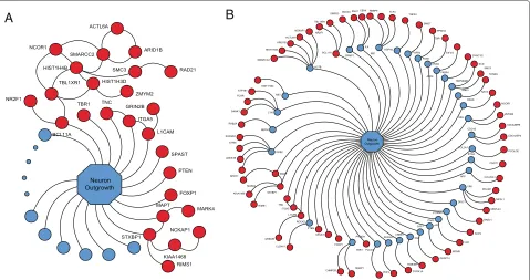 Figure 6 Predicted risk genes functionally related to neuron outgrowth.or separated in the PPI network from genes annotated by neurite outgrowth by at most one step