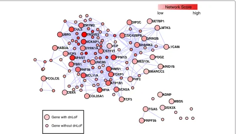 Figure 2 Network of risk ASD (rASD) genes.based on periods 3–5 or 4–6. dnLoF,DYRK1A These genes met the false discovery rate threshold of .05