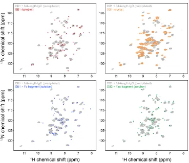 Figure 5.2. Overlays of 2D 15N-1H correlation spectra of GB1 in a precipitated complex with IgG (grey contours), with GB1 free in solution (red contours, top-left) and fully protonated crystalline GB1 at 1 GHz field163 (orange contours, top-right)