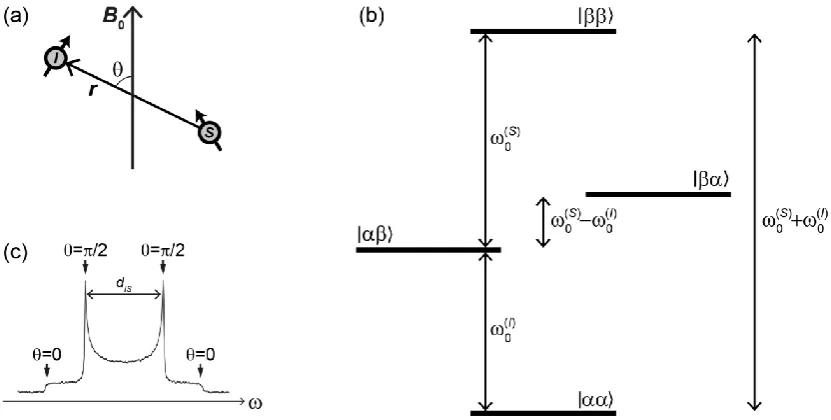 Figure 2.3. (a) Representation of the dipolar interaction between two nuclei (  and  ), where the interaction strength is dependent on the angle,  , subtended by the internuclear vector,  , and the magnetic field vector,   