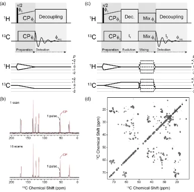 Figure 2.7. (a) Pulse sequence diagram for a 1H-13C cross-polarisation (CP) experiment