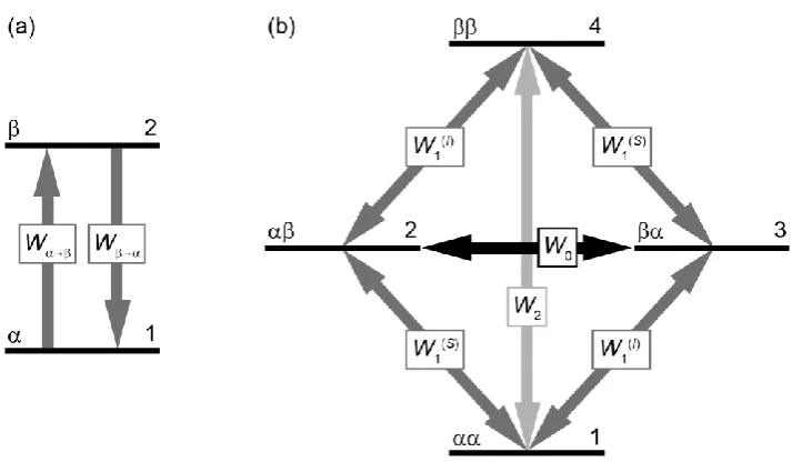 Figure 2.8. Energy level diagrams for (a) a single spin-½ nucleus and (b) two (alike) dipolar-coupled spin-½ nuclei, with transition rates   shown
