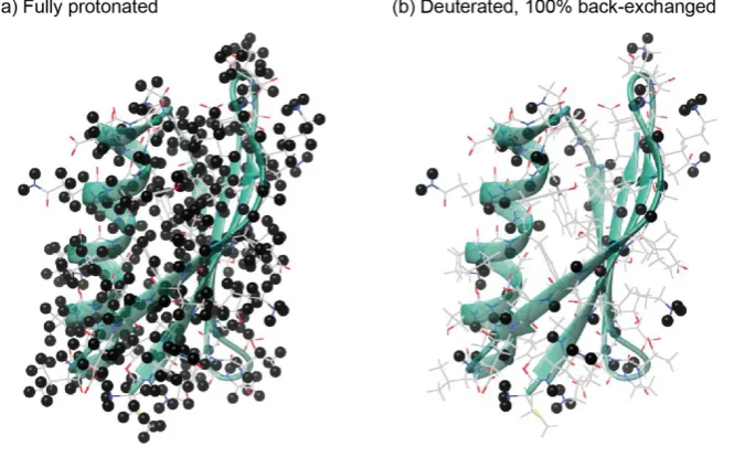 Figure 3.2. Visualisation of the effect of deuteration on the concentration of protons in a protein sample (shown is the protein GB1)