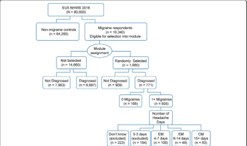 Fig. 1 Selection of study populationCM, chronic migraine; EM: episodic migraine; EU5, France, Germany, Italy, Spain, and the United Kingdom;NHWS, National Health Wellness Survey; n, the total number of respondents across the EU5.