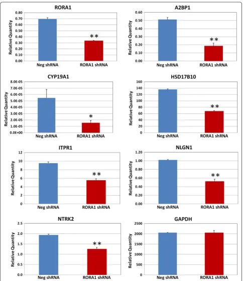 Figure 3 Quantitative RT-PCR analysis of RORA short hairpin RNA-transfected SH-SY5Y cells