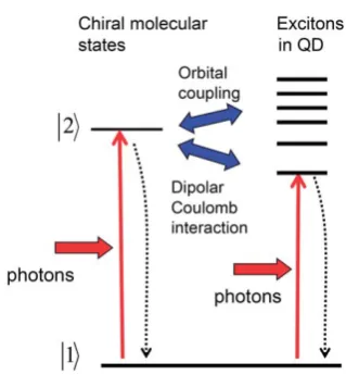 Fig. 15Quantum transitions in the chiral molecule-QD system. Thesolid vertical arrows represent light induced transitions, and the hori-zontal blue arrows depict the orbital and Coulomb couplings