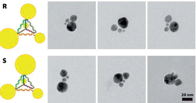 Fig. 3Chiral assemblies of gold nanoparticles using DNA scaffolds.41 Reprinted with permission from Ref