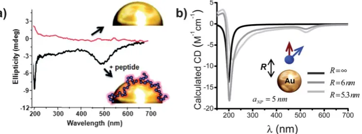 Fig. 8a) Plasmon enhanced CD spectrum of Au nanoparticles functionalized by a peptide-dye conjugate and Au nanoparticles coated by a gold-a dipole-nanoparticle complex with two separations (binding peptide