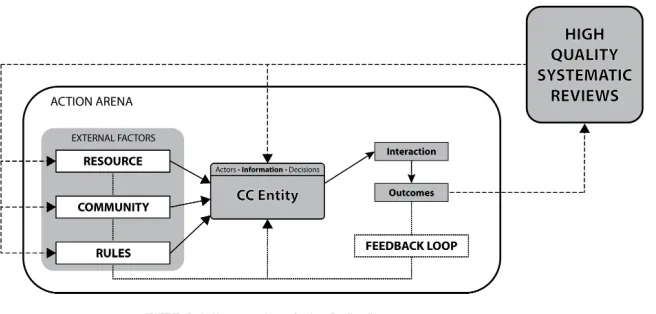 Figure 1: Action situation for Cochrane
