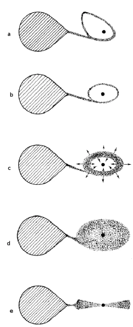 Figure 1.2: Schematic representation of accretion disc formation. Figure from Verbunt (1982).