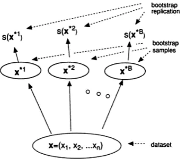 Figure 2.10: Schematic of the bootstrap process for estimating the standard error of a statistics(X )