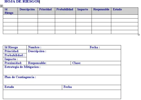 Fig. 2.  Risk sheet 